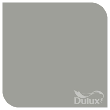 Warm Pewter paint from Dulux